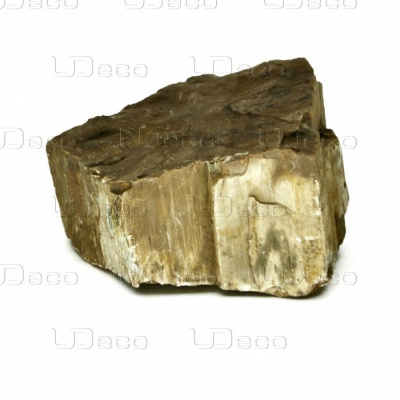 UDeco Fosszed Wood Stone M - Натуральный камень Окаменелое дерево, 1 шт